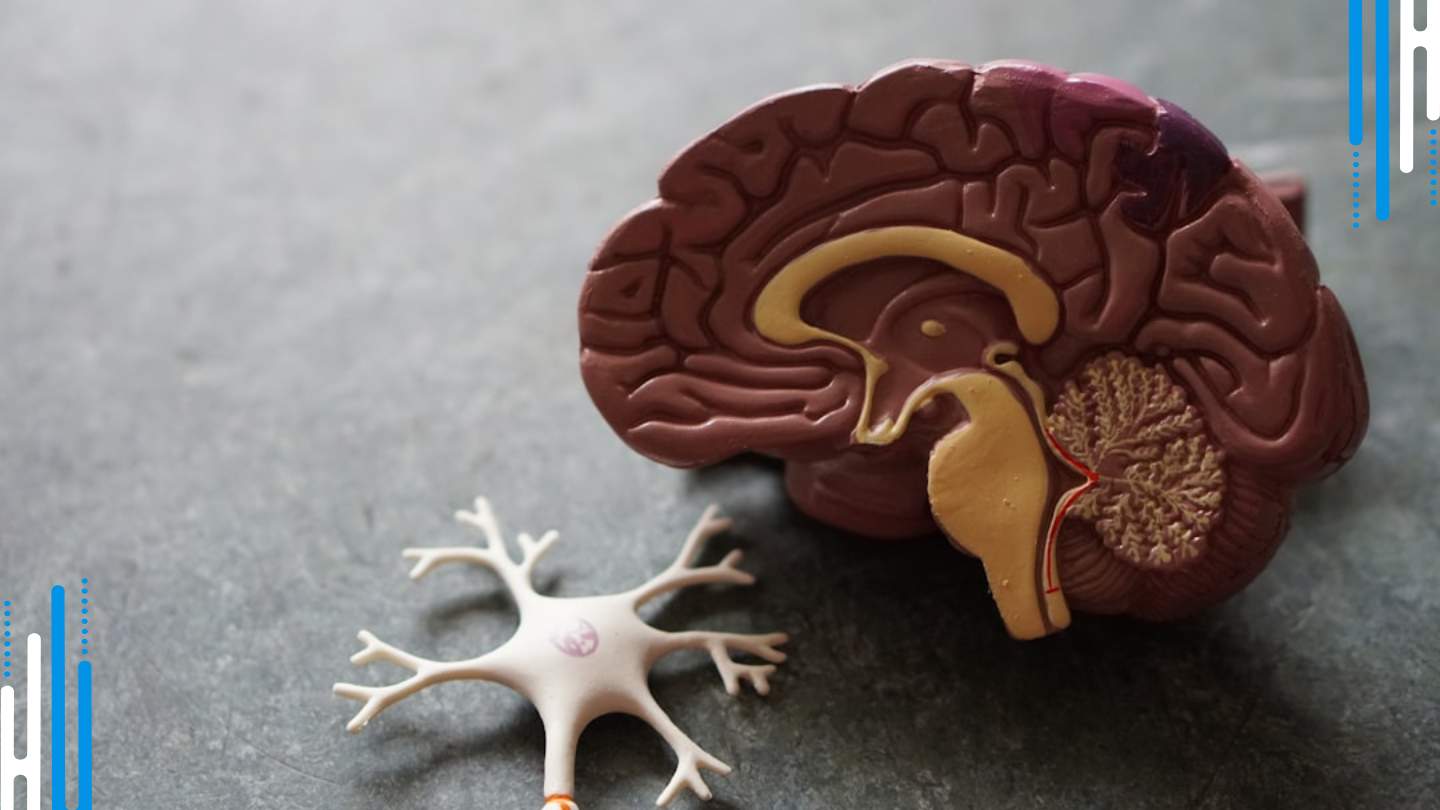 Benzodiazepine Withdrawal and Addiction: Understanding the Difference