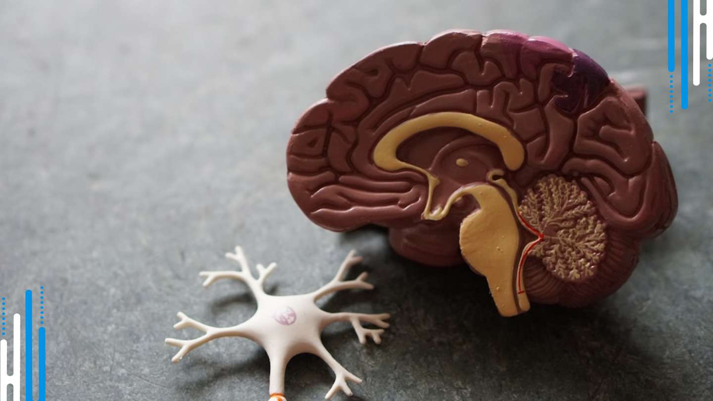 Benzodiazepine Withdrawal and Neurological Dysfunction: Tapering Tips