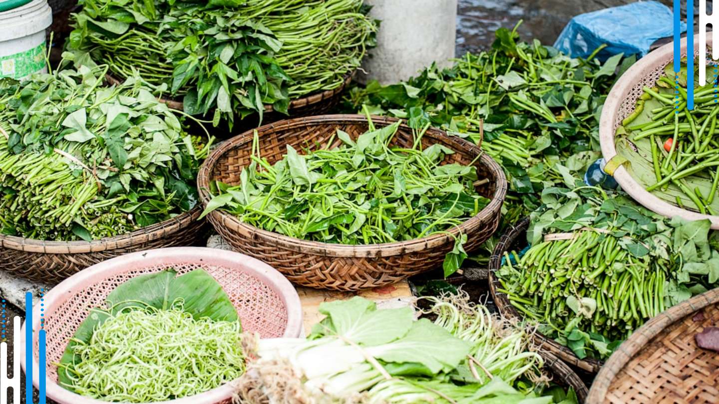 The Role of Herbs and Spices in Supporting Benzodiazepine Withdrawal Recovery
