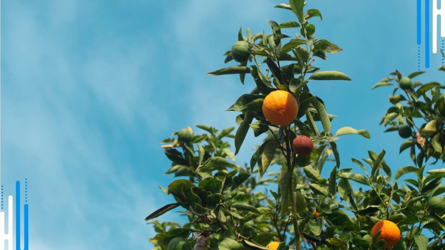 Vitamins to Avoid During Clonazepam Tapering and Withdrawal