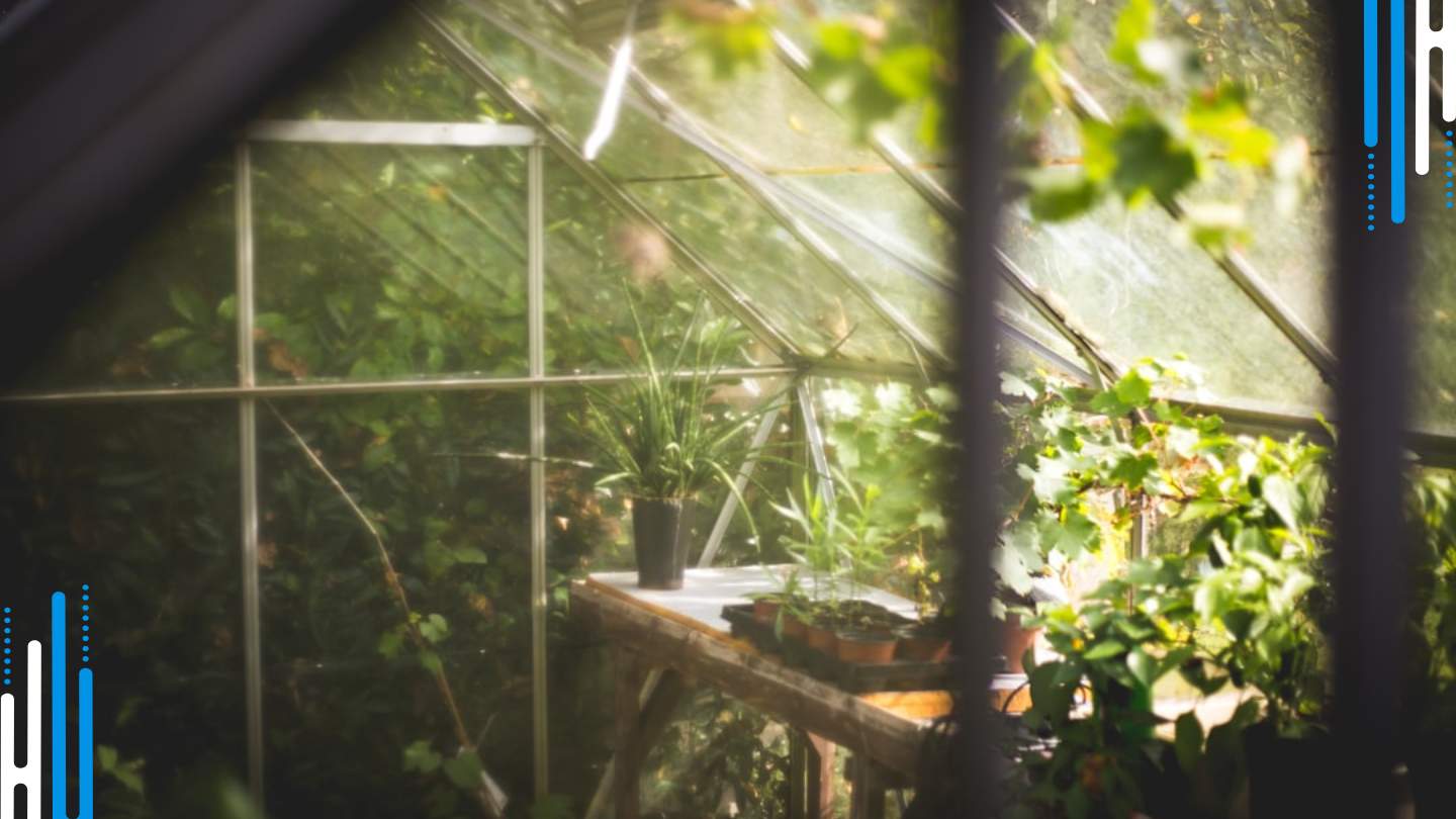 Benzodiazepine Withdrawal and the Benefits of Gardening