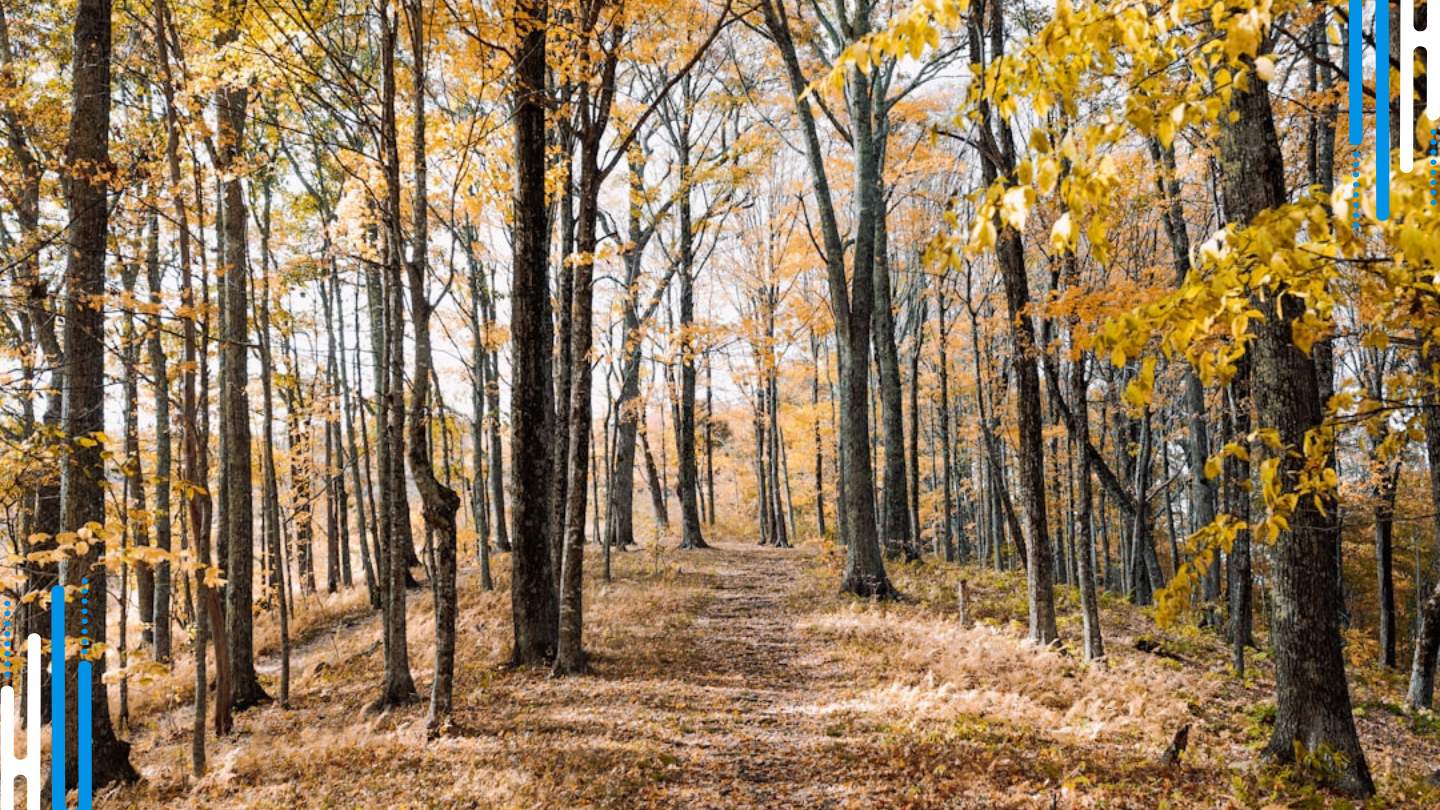 Combat Anxiety with Outdoor Activities: Hiking, Swimming & More