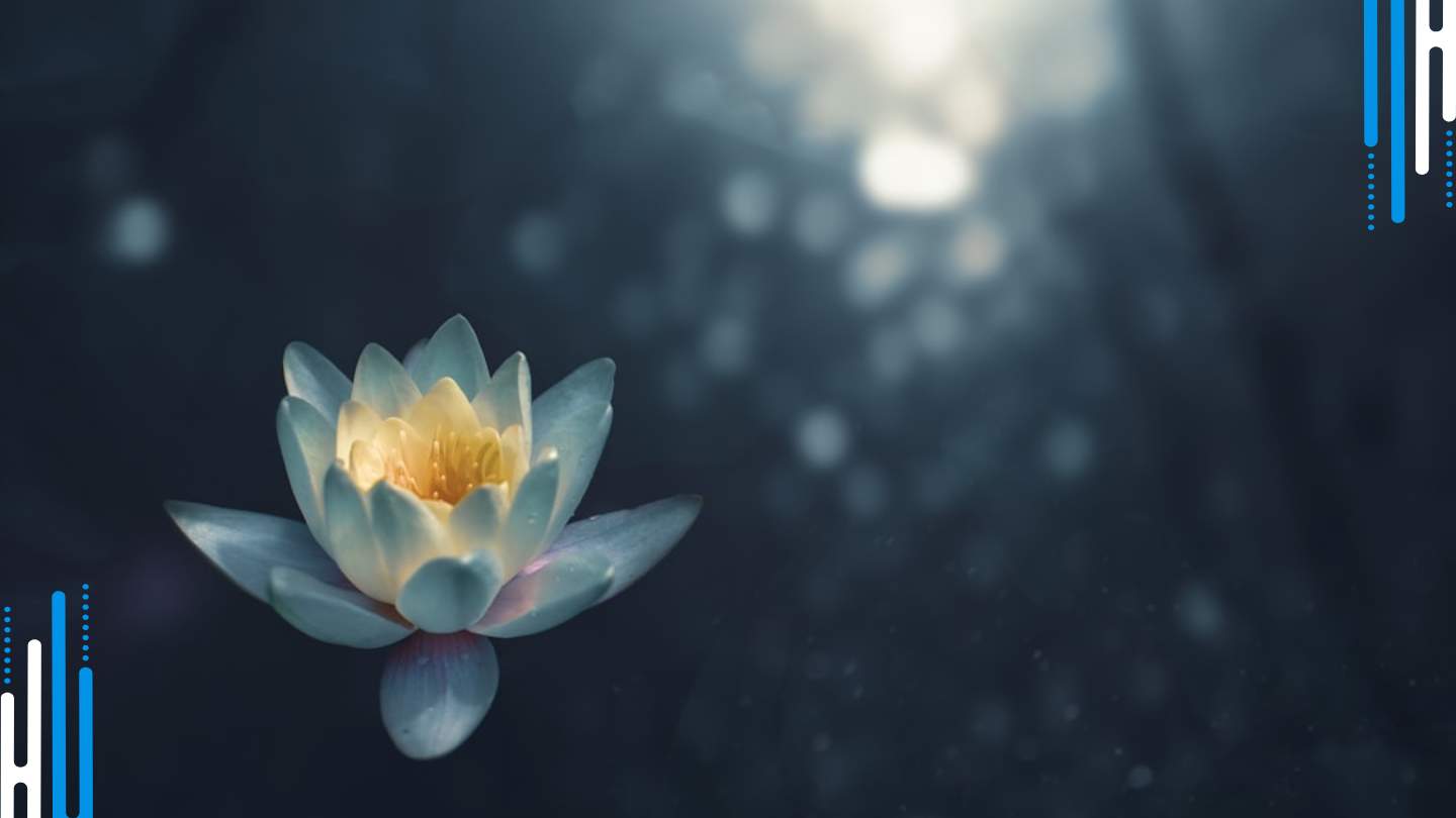 Reduce Anxiety: Establish a Daily Routine