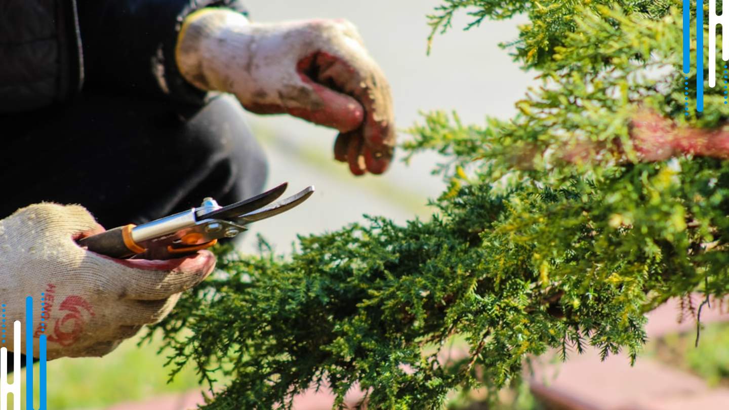 Reduce Anxiety with Physical Activities: Dance & Garden