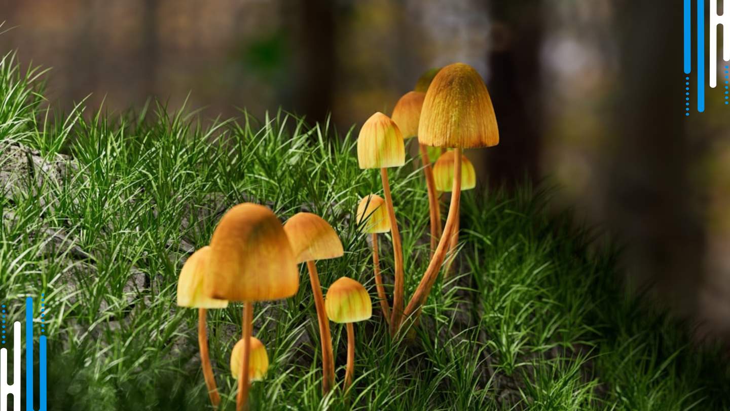 The Benefits of Nature for Benzodiazepine Withdrawal Symptoms