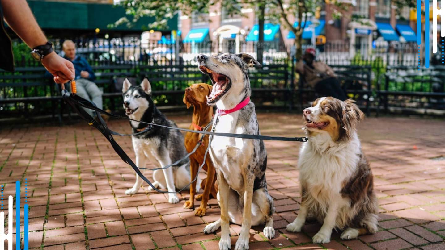 The Benefits of Pets for Benzodiazepine Withdrawal Support