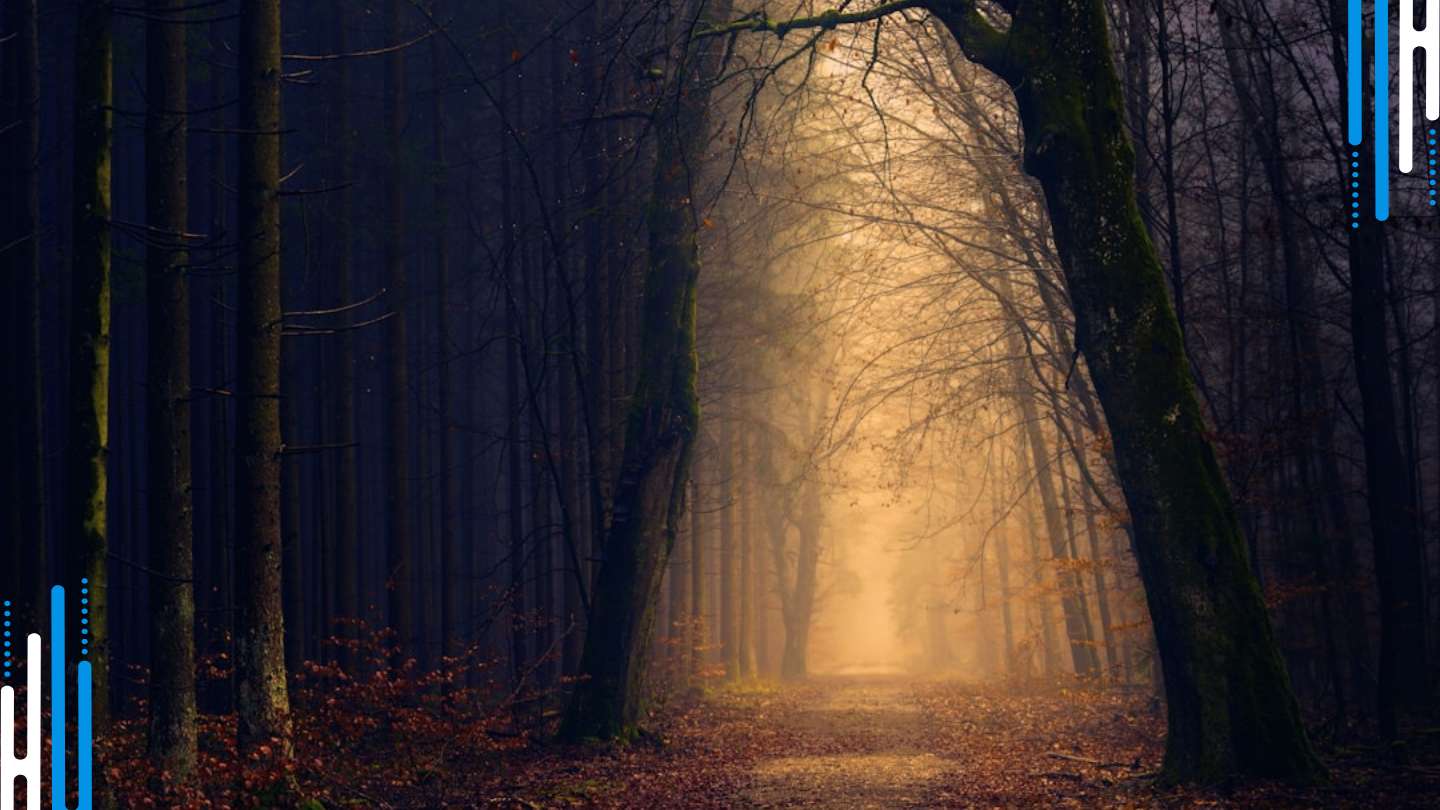 Rediscovering Purpose: Crafting a Meaningful Life Off Medication