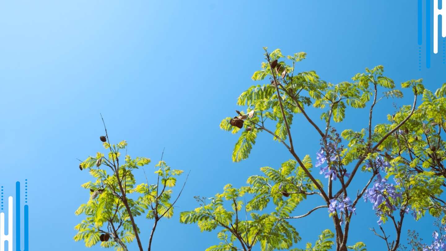 Uncharted Territory: Embracing the New Normal After Withdrawal