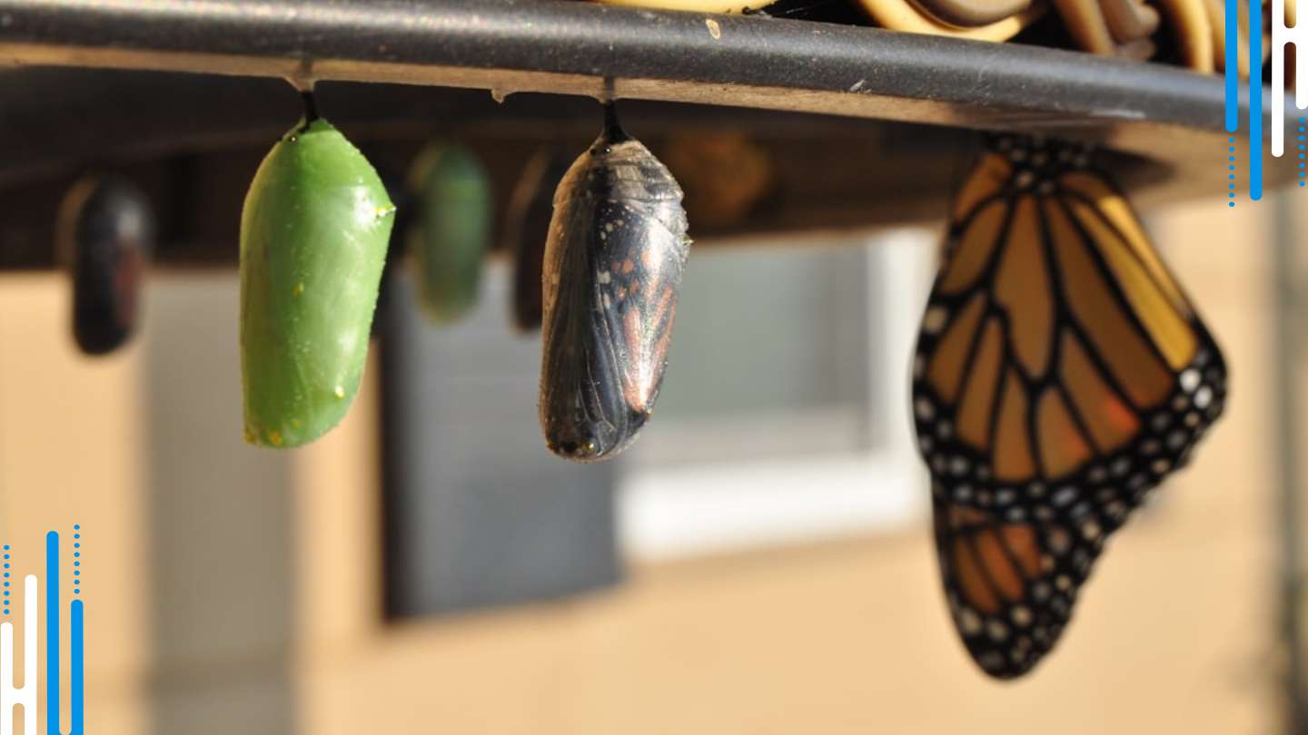 Withdrawal's Metamorphosis: Emerging into a New Reality