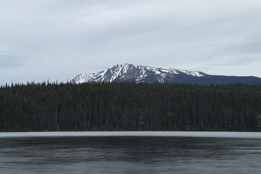 A snow-capped mountain above an evergreen forest and a still lake.